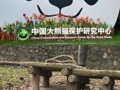 -都江堰中华大熊猫苑