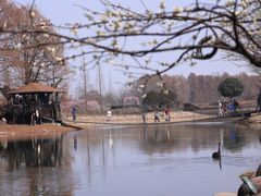 -上海辰山植物园