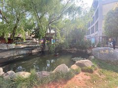 -青鱼湾水上乐园