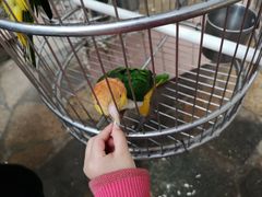 -南宫五洲植物乐园