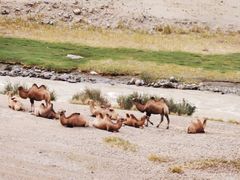 -新疆天山野生动物园