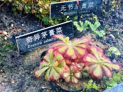 -国家植物园南园