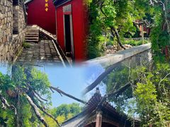 -泰山风景名胜区-普照寺