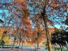 -河南省黄河迎宾馆