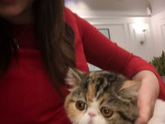 -袖虎·猫馆(体育西路店)