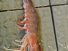 -大天然酒店(军民路店)