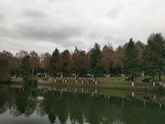 -海兰云天度假区温泉