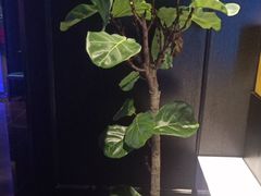 -逸馥荟(人广来福士店)
