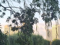 -院士公园