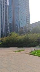 -HEYAN荷妍专业脱毛连锁机构