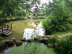 IMG_8383_副本西环境5-西院1号(龙井店)