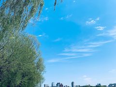 -长春市南湖公园