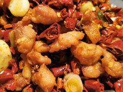 -Mountain House East Village 川山甲