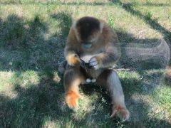 -西安秦岭野生动物园