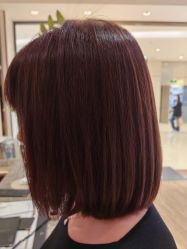 -Mentor Hair Salon