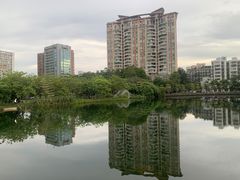 -四海公园(南山区)