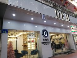 -DEM缔怡美科技美容