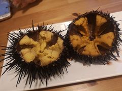 -海胆小馆(东北水饺·春柳店)