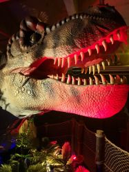 -恐龙探索乐园(磁器口店)