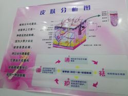 -荟草堂痘肌修护中心