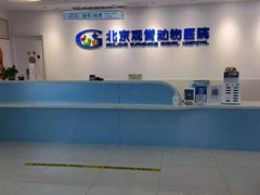 -北京观赏动物医院·24小时大型综合·猫专科·异宠专科