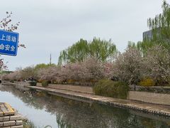 -元大都城垣遗址公园