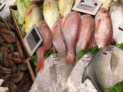 -高佳庄·舟山海鲜(海景旗舰店)