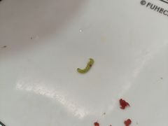-福合埕牛肉火锅(长平国新店)