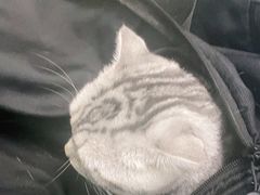 -宠福鑫康馨动物医院·骨科·眼科