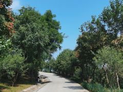 -北京西山国家森林公园