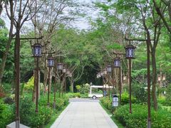 -顺峰山公园