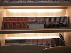 -滚猫咖啡·猫咖·猫友好撸猫(未来城店)