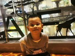 -卡通尼·Safari非洲探索乐园·生日会(金桥国际商业广场店)