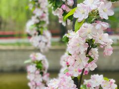 -元大都城垣遗址公园