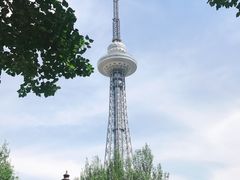 -龙塔