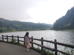 -武陵山森林公园