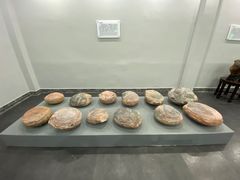 -游龙石文化科普馆