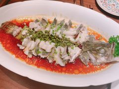 -觅唐MITONG(鸟巢店)