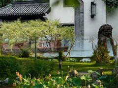 -杭州西湖柳莺里酒店