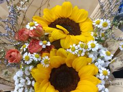 -循礼门鲜花花市(武汉循礼门店)