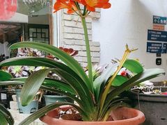 -大院河·仙鱼莊(九眼桥店)