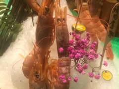 -阳光岛·海鲜盛宴(银泰中心in99店)