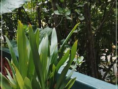 -BOCATA 西班牙餐厅(三里屯店)