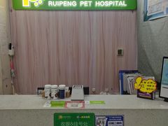 -瑞鹏宠物医院·微创内窥镜·骨外科·牙科(翠竹分院)