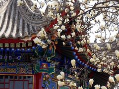 -西安市广仁寺