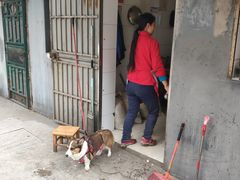 门面-无名面条店(路子铺小区店)