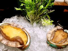 鲍鱼-官也街澳门火锅(新源里店)
