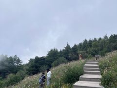 -白草畔自然风景区