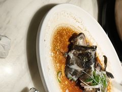-陶陶居酒家(新天地店)