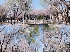 -三里河公园